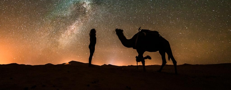 A human and a camel in an Egyptian desert under the starry night sky. 