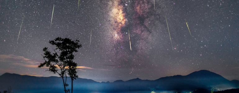 A tree under a meteor shower in the starry night sky of a mountainous region.