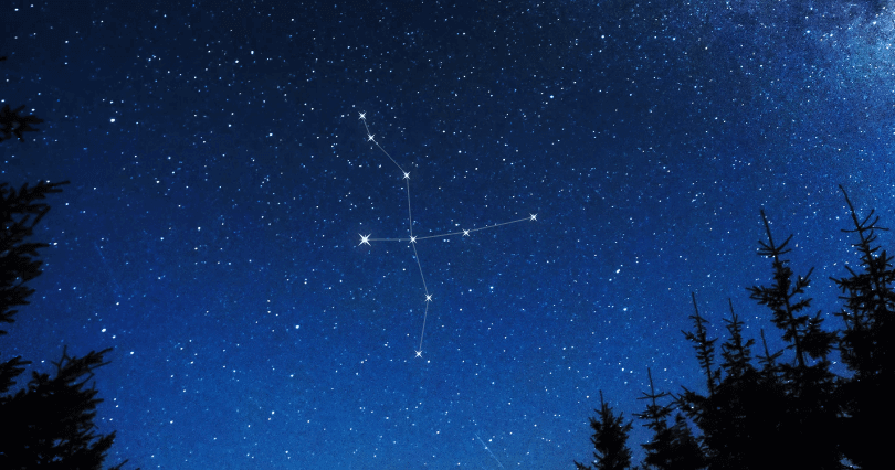 Cygnus constellation in the night sky