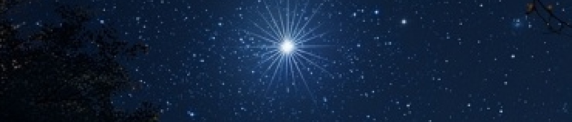 Bright white star in the night sky