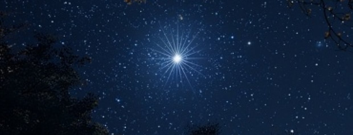 Bright white star in the night sky