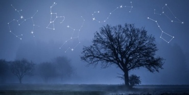 constellations in the night sky