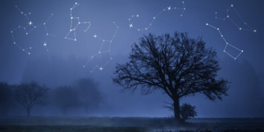 constellations in the night sky