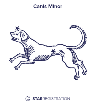 Starregistration.net adaption of a painting of Canis Minor Constellation from Uranographia celestial atlas by Johannes Hevelius.