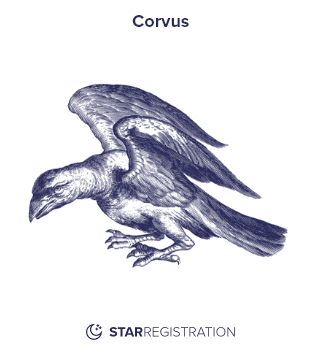 Starregistration.net adaption of a painting of Corvus Constellation from Uranographia celestial atlas by Johannes Hevelius.