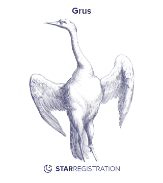 Starregistration.net adaption of a painting of Grus Constellation from Uranographia celestial atlas by Johannes Hevelius.