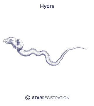 Starregistration.net adaption of a painting of Hydra Constellation from Uranographia celestial atlas by Johannes Hevelius.