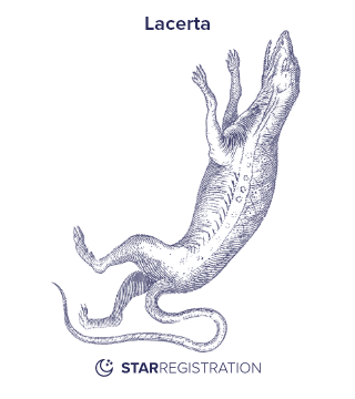 Starregistration.net adaption of a painting of Lacerta Constellation from Uranographia celestial atlas by Johannes Hevelius.