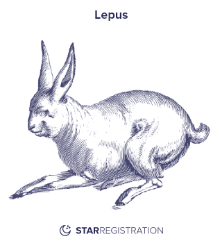 Starregistration.net adaption of a painting of Lepus Constellation from Uranographia celestial atlas by Johannes Hevelius.