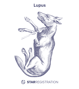 Starregistration.net adaption of a painting of Lupus Constellation from Uranographia celestial atlas by Johannes Hevelius.