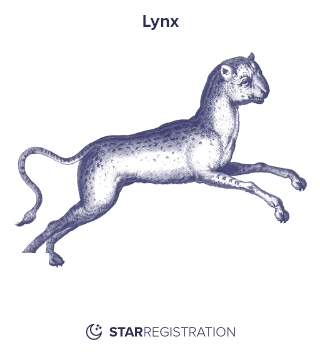 Starregistration.net adaption of a painting of Lynx Constellation from Uranographia celestial atlas by Johannes Hevelius.