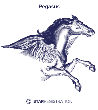 Starregistration.net adaption of a painting of Pegasus Constellation from Uranographia celestial atlas by Johannes Hevelius.