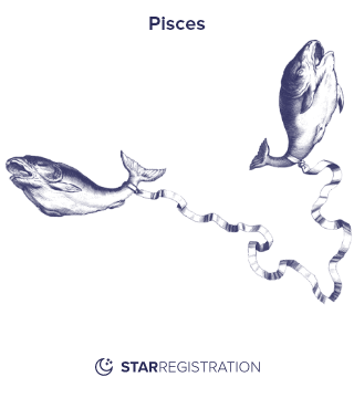 Starregistration.net adaption of a painting of Pisces Constellation from Uranographia celestial atlas by Johannes Hevelius.