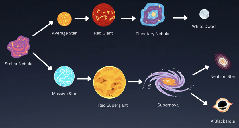 A diagram of the life cycle of stars