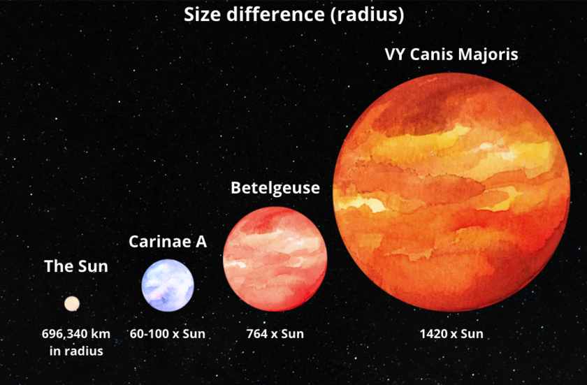 A graphic image of star size difference in radius compared to the Sun