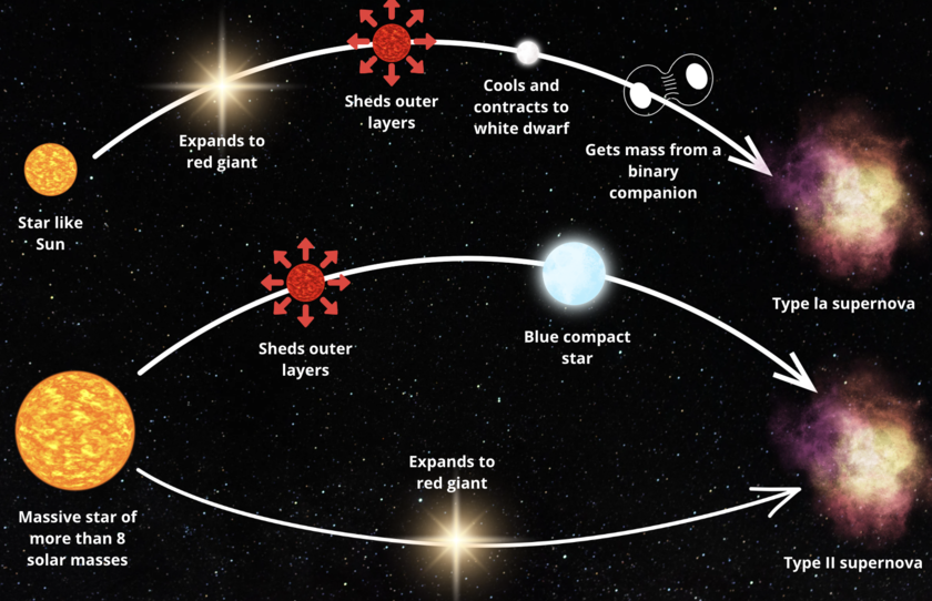 A graphic image of how different types of stars become different type of supernova