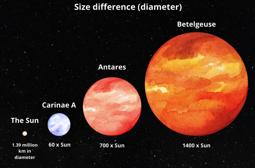 A graphic image of the size difference in diameter of Betelgeuse, Antares, Carinae A and the Sun