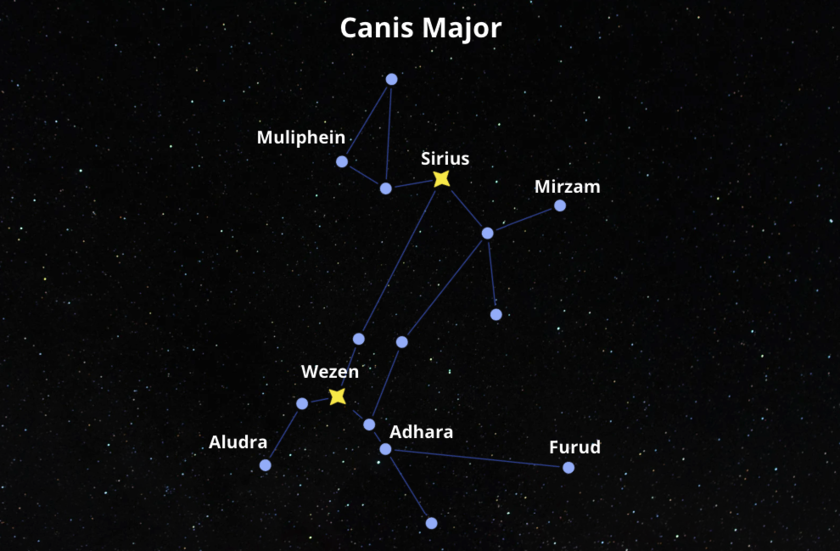 A graphic image of Canis Major constellation and its star names