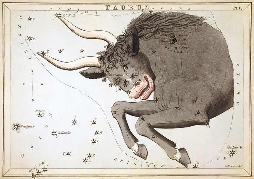 A drawing of the taurus constellation as a bull