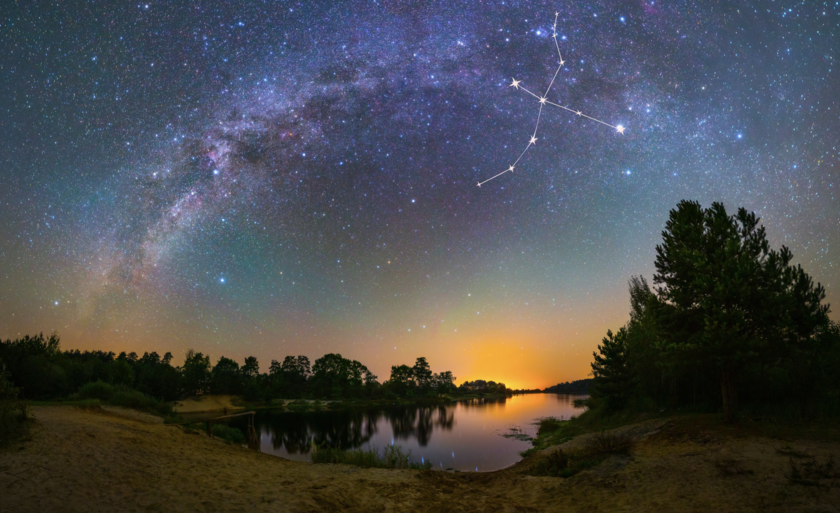 cygnus in the summer night sky