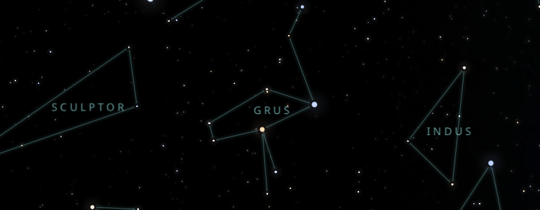 The shape and the main stars of Grus constellation alongside the neighboring constellations in outer space.