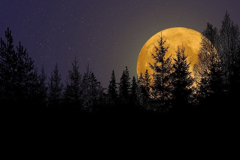 A yellow Moon rising from the dark tree line of a forest