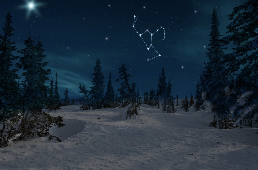 orion in the winter night sky