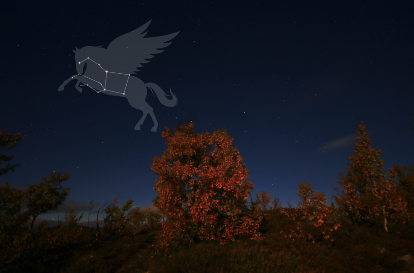 pegasus in the autumn night sky