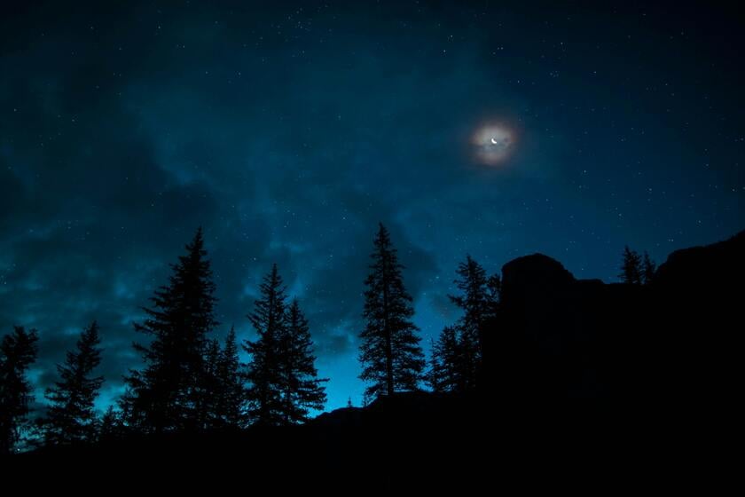 A moon shining in the dark sky full of stars over a black forest line