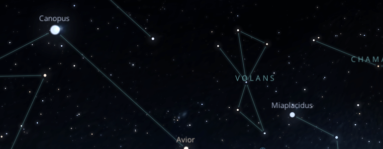 The shape and the main stars of Volans constellation alongside the neighboring constellations in outer space. 